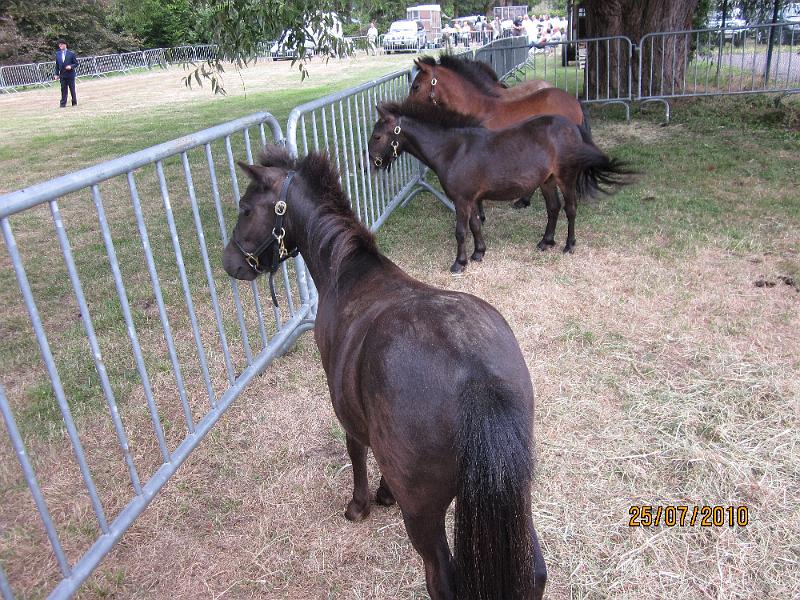 33 ste Crijtfeesten en 4de Crijtrally op 25 juli 2010-Terlogt Diepenbeek (101).JPG